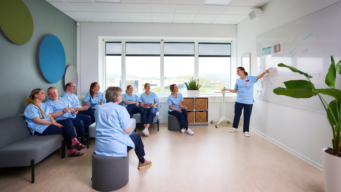 Sygeplejerske_Øvrige fag_1.jpg