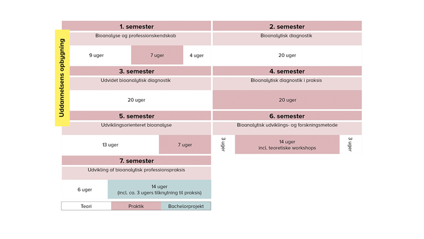 UCL Bioanalytiker | Find Hurtigt Informationer Om Uddannelsen Her